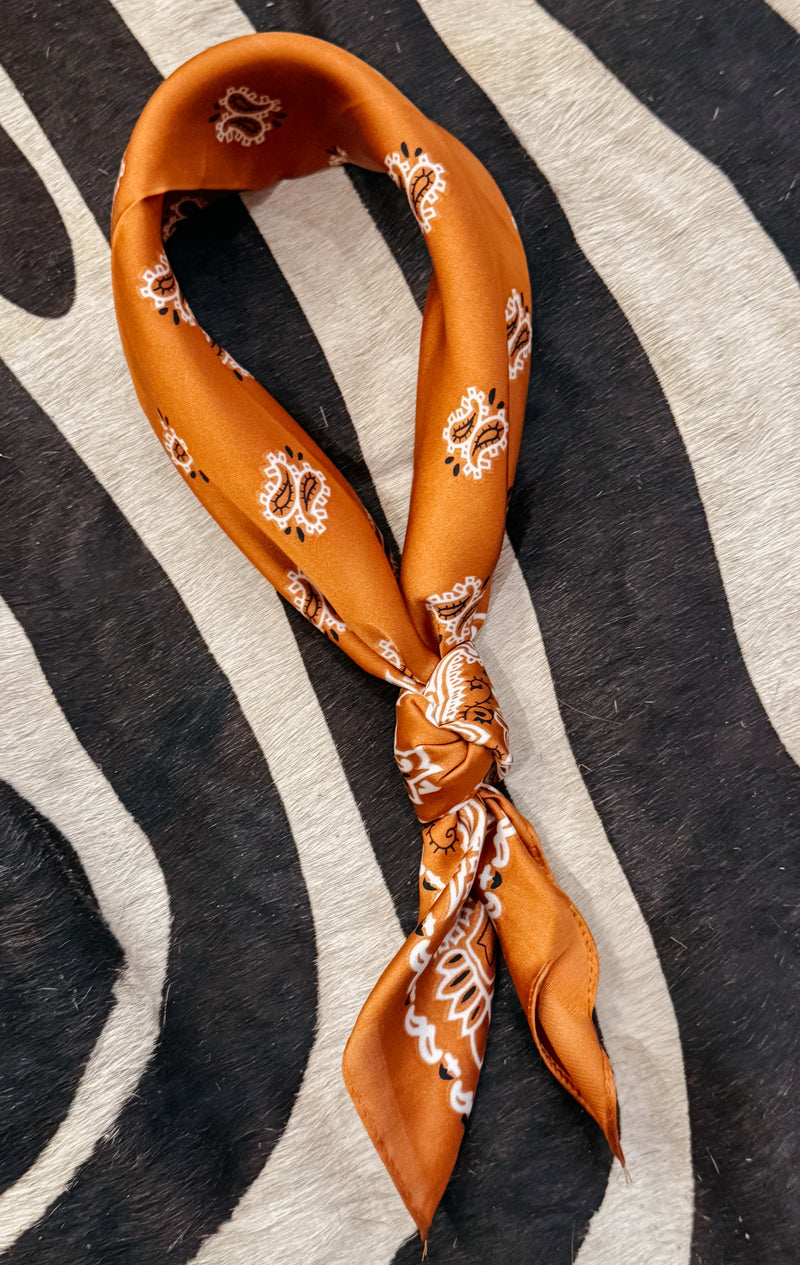 Kimmy Scarf