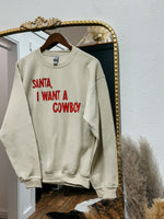 Santa I Want a Cowboy Sweater